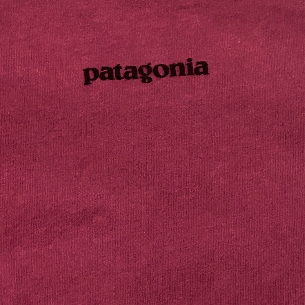 PATAGONIA. Large. Excellent condition! - Picture 2 of 4